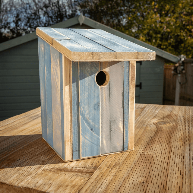 Bird Box
