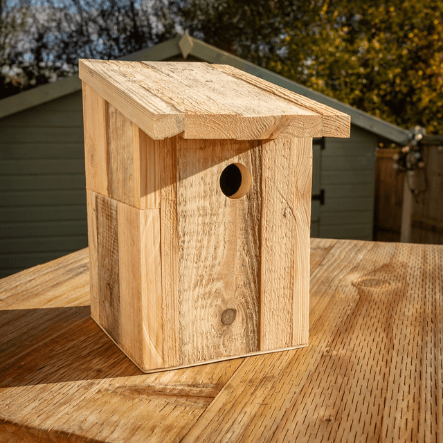 Bird Box